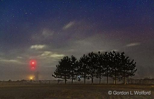 Pines At Night_22216.jpg - Photographed near Smiths Falls, Ontario, Canada.